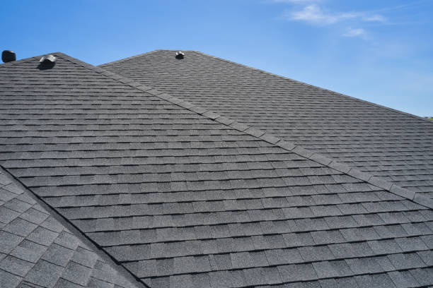 Best Roof Maintenance and Cleaning  in Brinckerhoff, NY